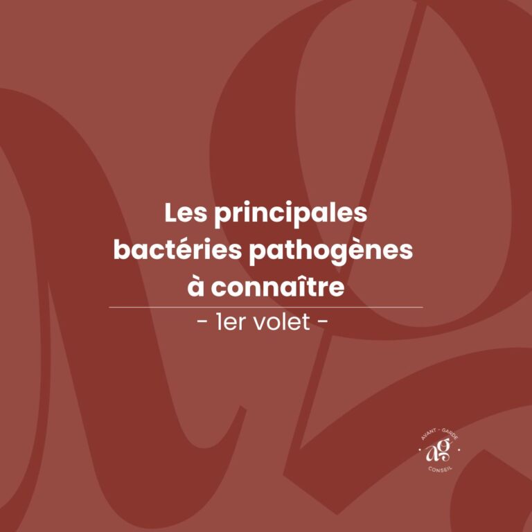 Les principales bactéries pathogènes à connaître - 1er volet