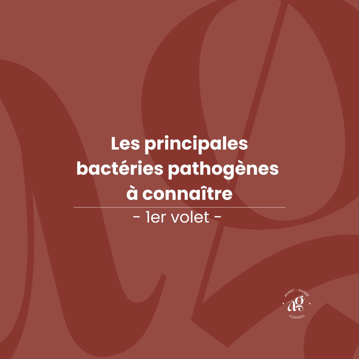 Les principales bactéries pathogènes à connaître – 1er volet