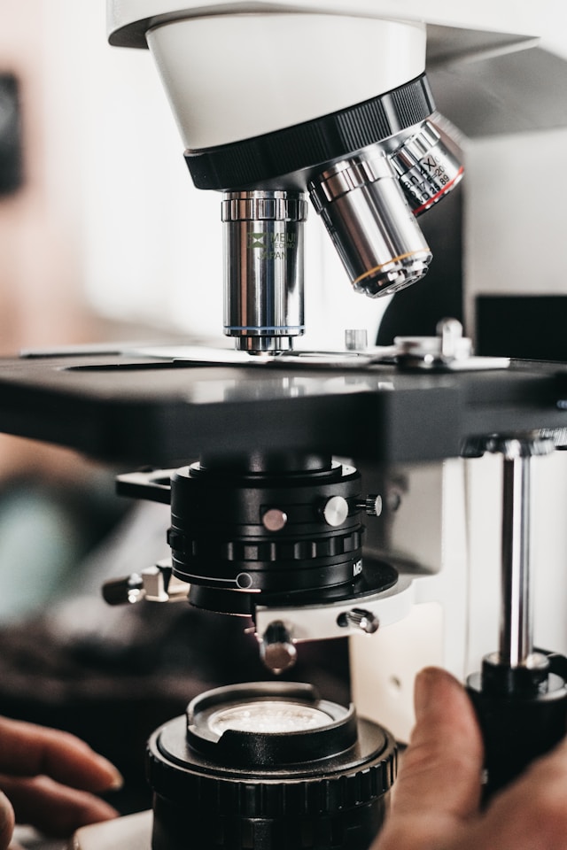 Bactéries pathogènes alimentaires